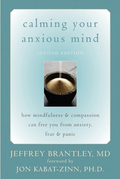 Cover of Calming Your Anxious Mind: How Mindfulness & Compassion can Free You From Anxiety, Fear & Panic by Jeffrey Brantley.